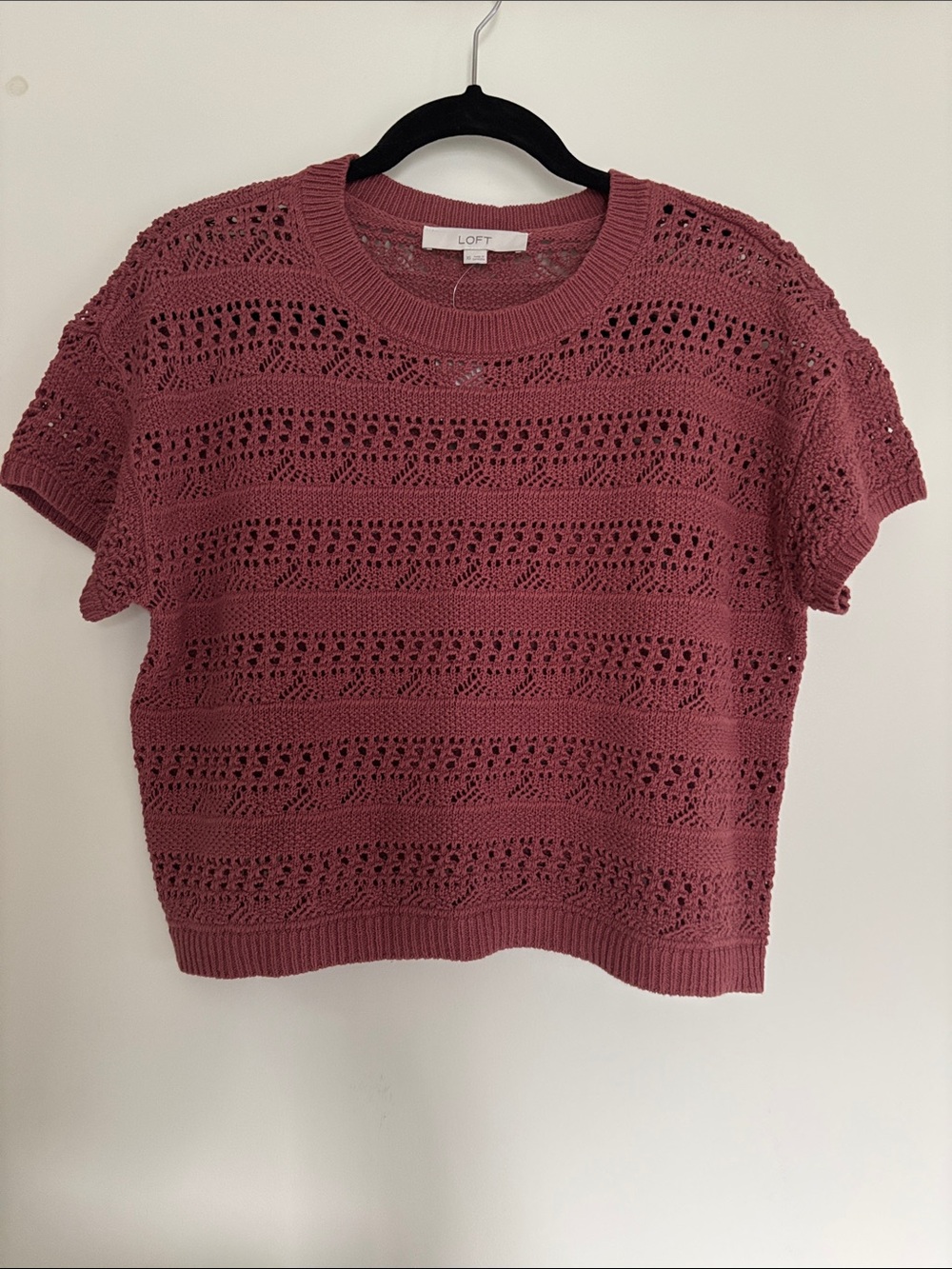 LOFT Pointelle Relaxed Sweater Tee